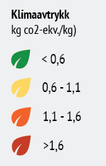 klimaavtrykk-blader